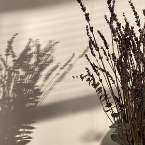 Meet your Posher, Kara